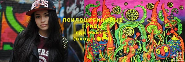 PSILOCYBIN Арсеньев