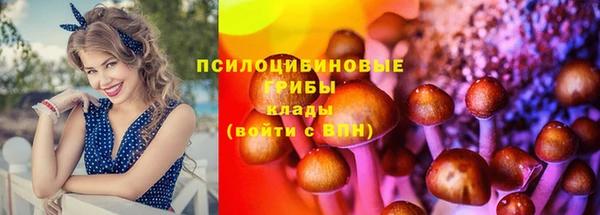 PSILOCYBIN Арсеньев