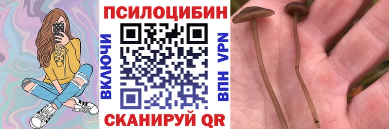 Галлюциногенные грибы MAGIC MUSHROOMS  Козьмодемьянск 